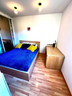 Blue City Flat